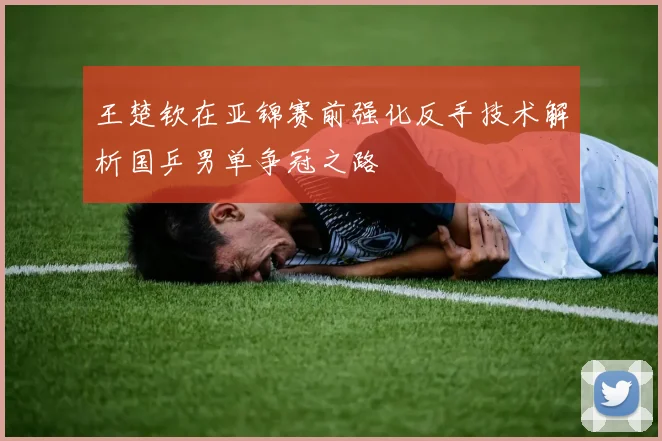 王楚钦在亚锦赛前强化反手技术解析国乒男单争冠之路