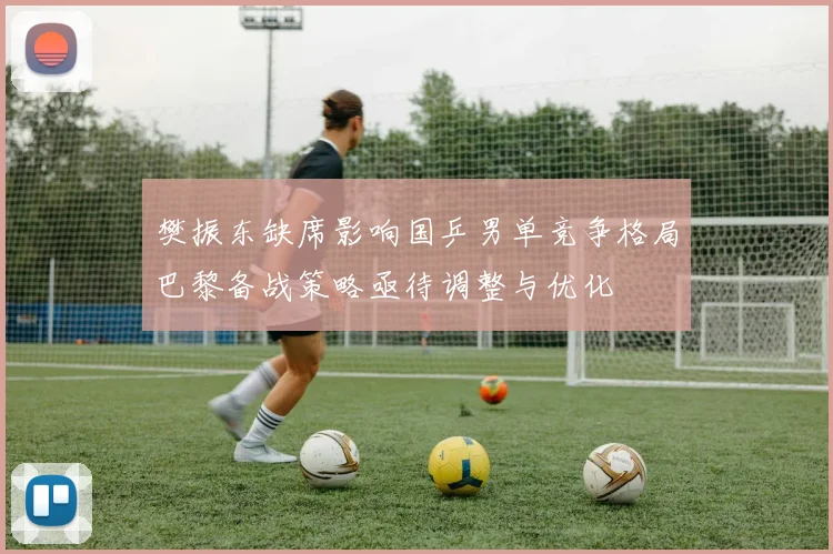 樊振东缺席影响国乒男单竞争格局巴黎备战策略亟待调整与优化
